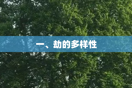 劫的多样性图片