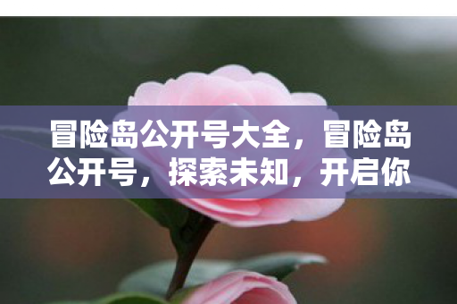 冒险岛公开号大全图片