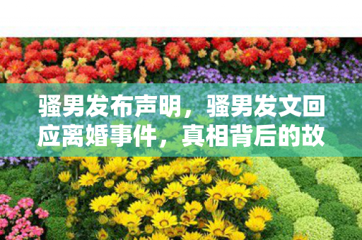 骚男发布声明，骚男发文回应离婚事件，真相背后的故事