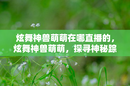 炫舞神兽萌萌在哪直播的，炫舞神兽萌萌，探寻神秘踪迹