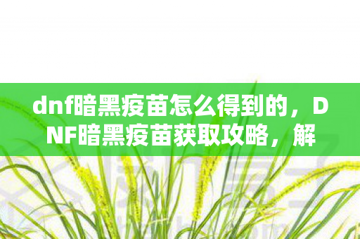 dnf暗黑疫苗怎么得到的图片