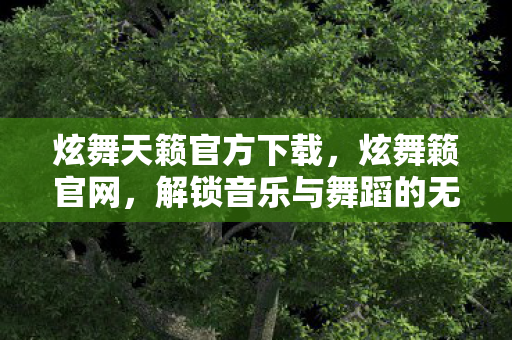 解锁音乐与舞蹈的无限可能图片