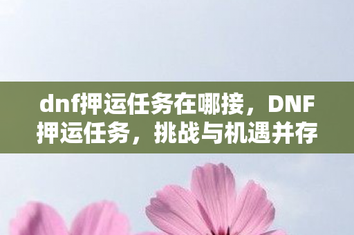 挑战与机遇并存的冒险之旅图片