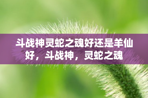 斗战神灵蛇之魂好还是羊仙好图片