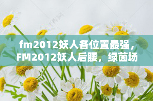 fm2012妖人各位置最强图片