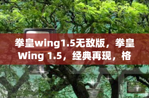 拳皇Wing 1图片