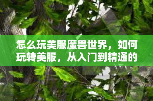 从入门到精通的全方位指南图片