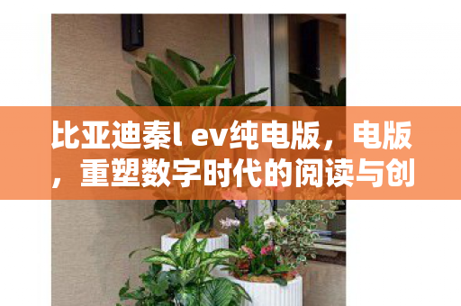 重塑数字时代的阅读与创作图片