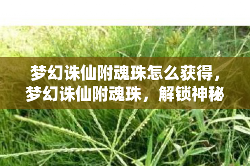 梦幻诛仙附魂珠怎么获得图片