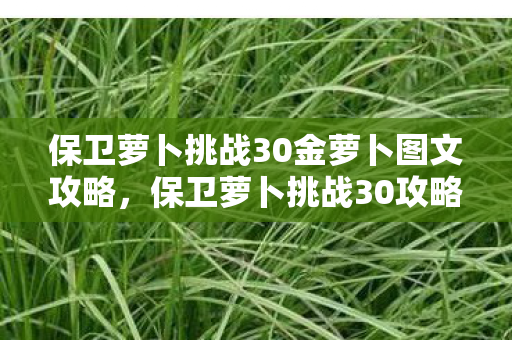 保卫萝卜挑战30金萝卜图文攻略图片