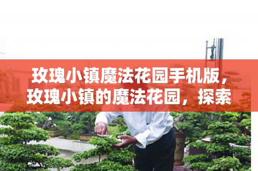 玫瑰小镇魔法花园手机版图片