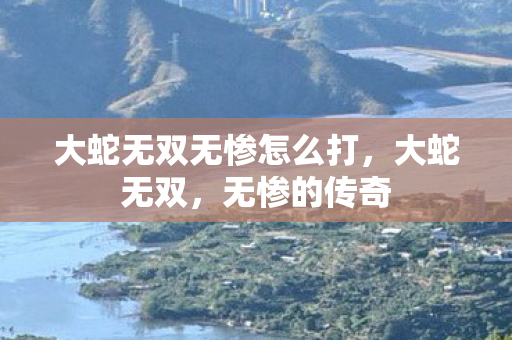 大蛇无双无惨怎么打图片