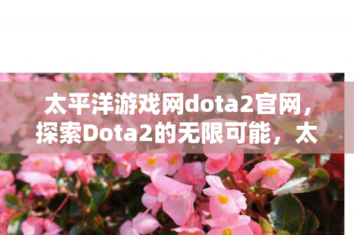 太平洋游戏网dota2官网图片