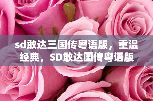 sd敢达三国传粤语版图片