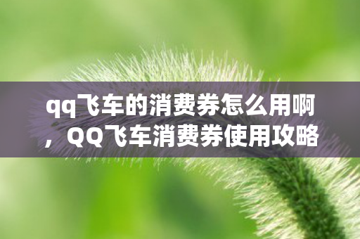 qq飞车的消费券怎么用啊图片