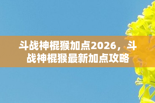 斗战神棍猴加点2026图片