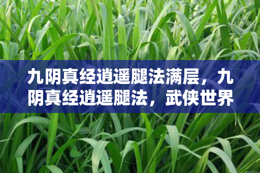 九阴真经逍遥腿法满层图片