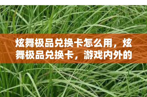 炫舞极品兑换卡怎么用，炫舞极品兑换卡，游戏内外的珍贵宝藏