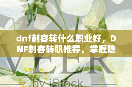 dnf刺客转什么职业好图片