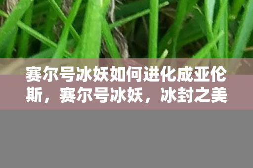 赛尔号冰妖如何进化成亚伦斯图片