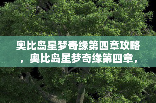 奥比岛星梦奇缘第四章攻略图片