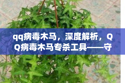 守护网络安全的重要利器图片