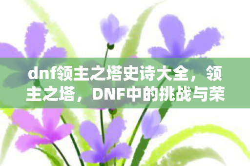dnf领主之塔史诗大全图片