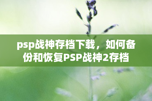 如何备份和恢复PSP战神2存档图片