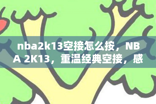 nba2k13空接怎么按图片