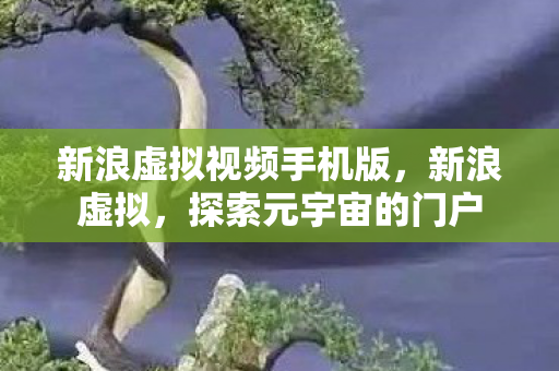 新浪虚拟视频手机版图片