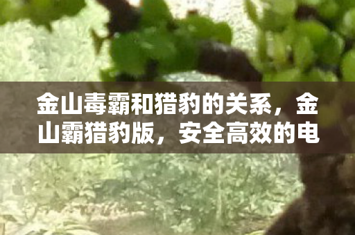 安全高效的电脑防护利器图片