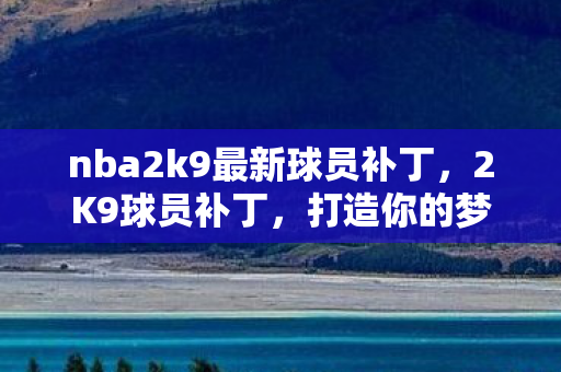 nba2k9最新球员补丁图片