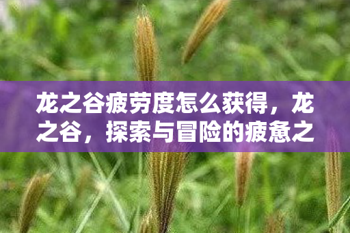 龙之谷疲劳度怎么获得图片