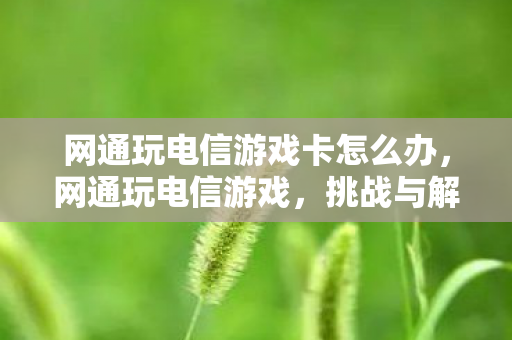 网通玩电信游戏卡怎么办图片