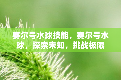 赛尔号水球技能图片