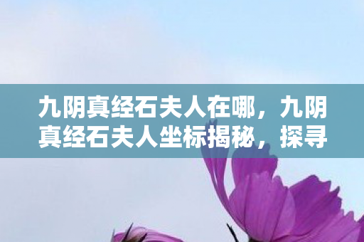 九阴真经石夫人坐标揭秘图片