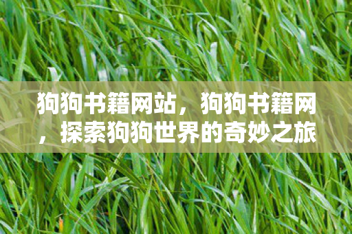 探索狗狗世界的奇妙之旅图片