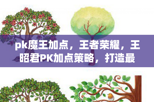 王昭君PK加点策略图片
