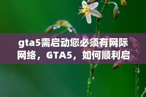 gta5需启动您必须有网际网络图片