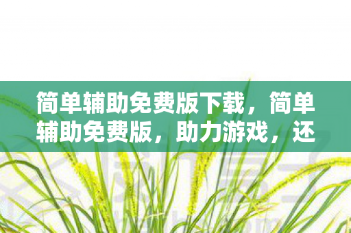 简单辅助免费版下载图片