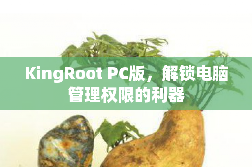KingRoot PC版图片