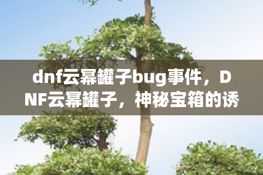 神秘宝箱的诱人魅力与未知惊喜图片