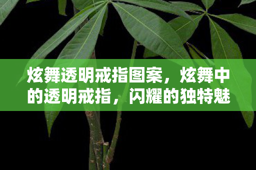 炫舞透明戒指图案，炫舞中的透明戒指，闪耀的独特魅力与神秘象征