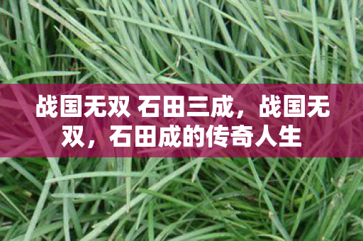 战国无双 石田三成图片