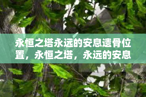 永恒之塔永远的安息遗骨位置图片