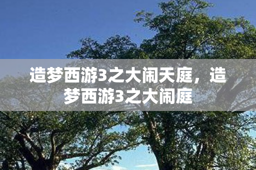 造梦西游3之大闹天庭图片