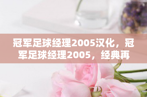 冠军足球经理2005汉化图片