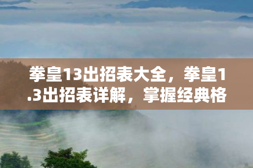 掌握经典格斗游戏的精髓图片