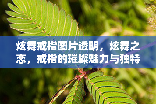 炫舞戒指图片透明，炫舞之恋，戒指的璀璨魅力与独特设计