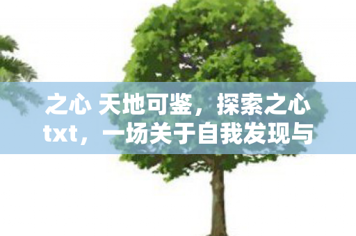 一场关于自我发现与成长的数字之旅图片